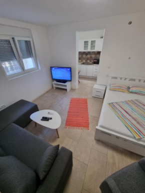 Apartment Linden